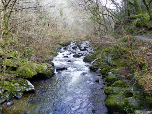 21.-Looking-upstream-from-Blackpool-Bridge-2