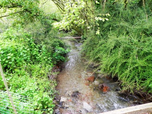 21.-Looking-upstream-to-Glen-Haven-footbridge-2