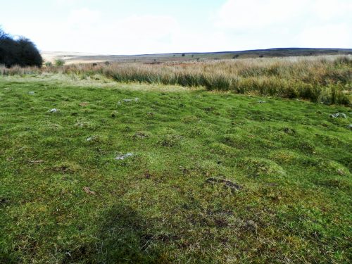 21.-Moss-covered-stones-by-Hoaroak-Water-2