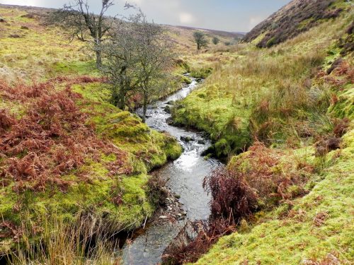21.-Upstream-from-Colley-Water-2