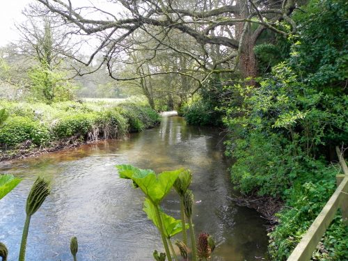 21.-Upstream-from-Lawns-Bridge-2