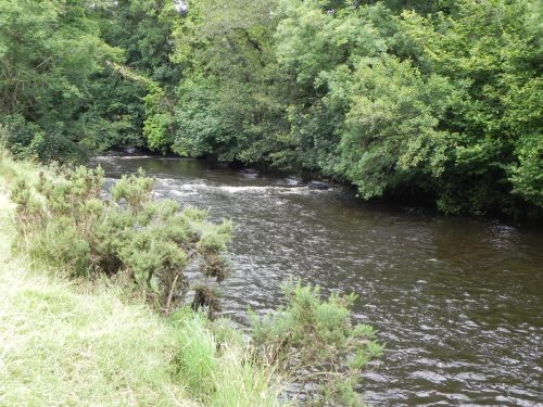 21.-Upstream-from-Two-Waters-2
