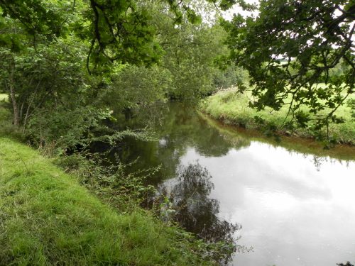 21.-Upstream-from-Two-Waters-4