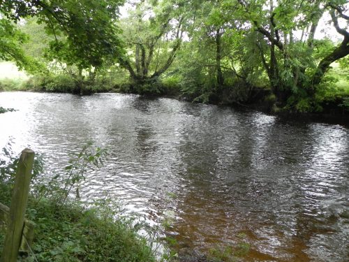 21.-Upstream-from-Two-Waters-5