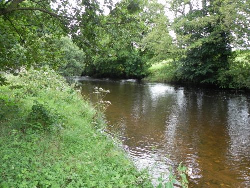 21.-Upstream-from-Two-Waters-6