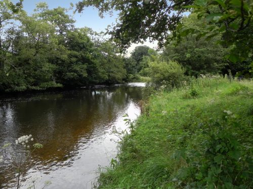 21.-Upstream-from-Two-Waters-7