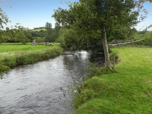 21.-Upstream-from-Two-Waters-8