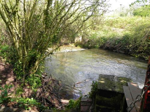 21.-Upstream-from-Washford-Mill-Leat-Weir-2