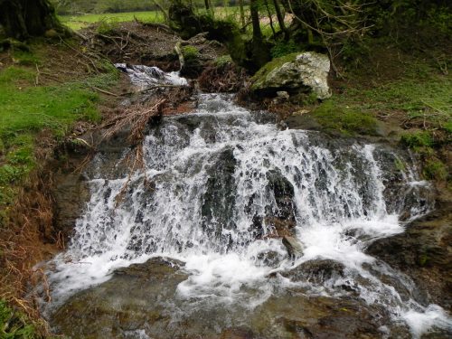 21.-Weir-downstream-from-Lower-Court-Farm-4