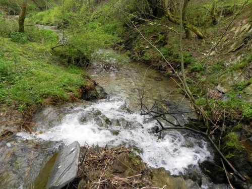 21.-Weir-downstream-from-Lower-Court-Farm-5