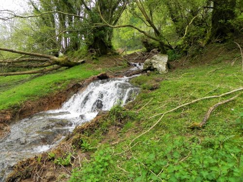 21.-Weir-downstream-from-Lower-Court-Farm-6