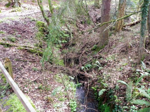 21.-looking-upstream-from-Luccombe-Plantation-Bridge-2