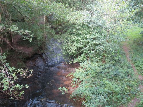 21a.-Looking-upstream-from-Pouch-Bridge