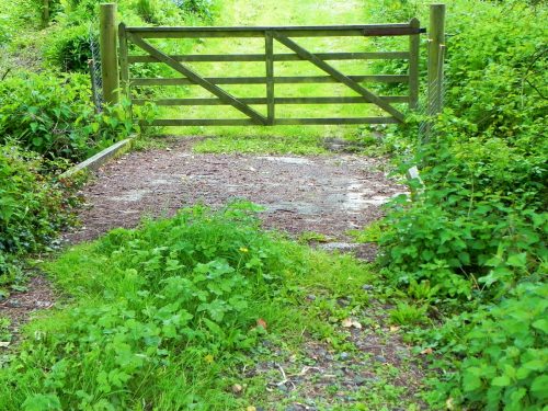 22.-Crystal-Glen-accommodation-bridge-2