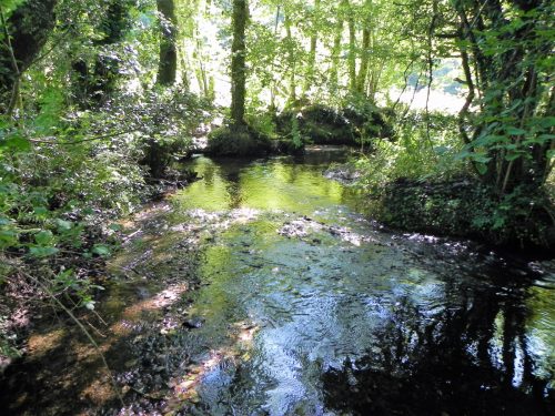 22.-Downstream-from-Gardeners-Bridge-2