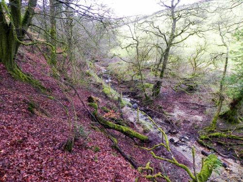 22.-Downstream-from-Little-ash-Combe-2
