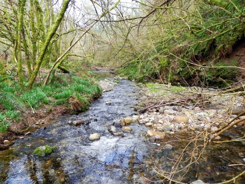 22.-Downstream-from-Snowdrop-Valley-Bridge-2