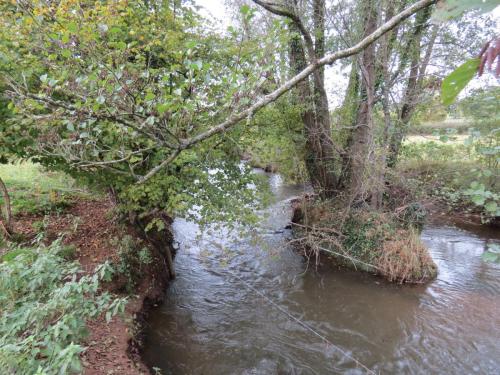 22.-Downstream-from-Wellisford-Manor-Bridge