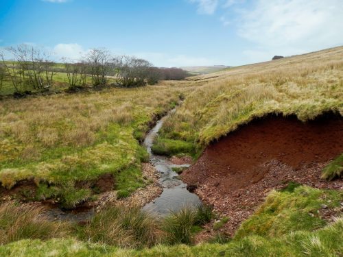 22.-Early-stream-approx-950-metres-from-source-2