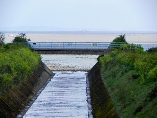River Avill Flood Channel