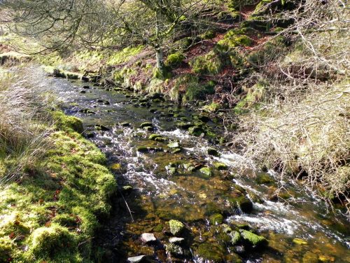 22.-Flowing-below-Furzehill-Common-2