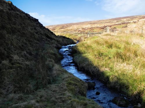 22.-Flowing-below-Hoccombe-Hill-2