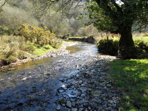 22.-Flowing-below-Shircombe-Farm-2