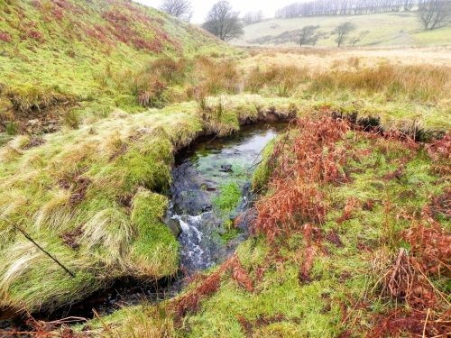 22.-Flowing-through-Long-Combe-2