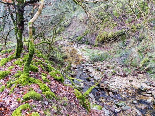 22.-Flowing-through-Mansley-Combe-2