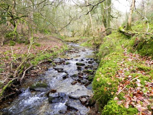 22.-Flowing-through-Underwood-Plantation-2
