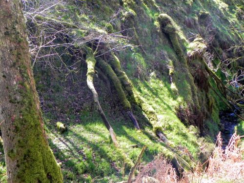 22.-Flowing-through-ravine-2