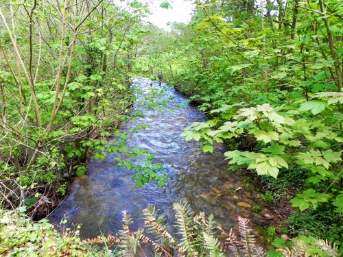 22.-Looking-downstream-from-Druids-Combe-Road-Bridge-2