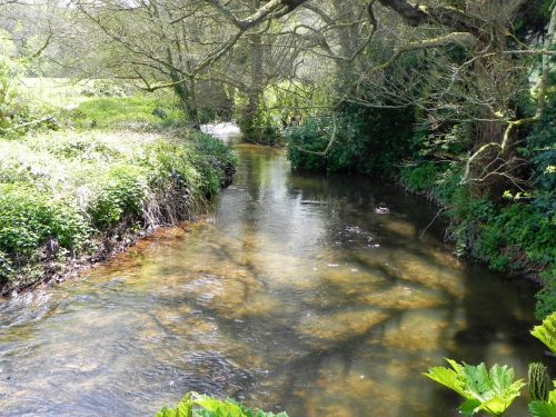 22.-Looking-upstream-from-Lawns-Bridge-2