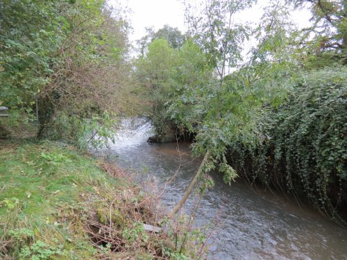 22.-Looking-upstream-to-Tonedale-Weir