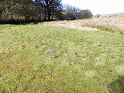 22.-Moss-covered-stones-by-Hoaroak-Water-2