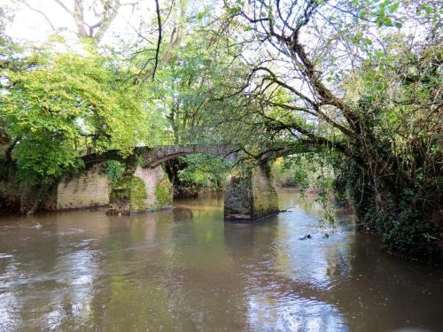 22.-Netherclay-Footbridge-downstream-arches-5