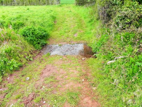 22.-Tivington-Knowle-headstream-2