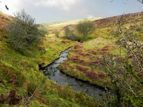 22.-Upstream-from-Colley-Water-2
