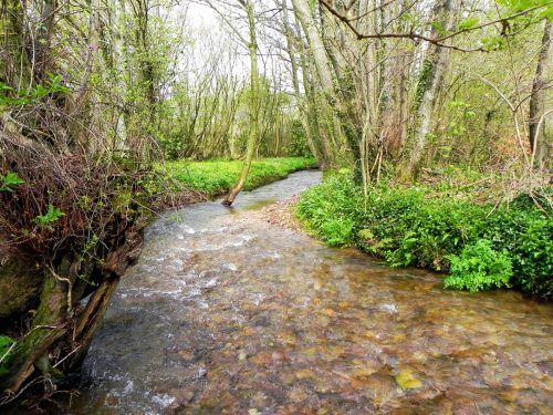 22.-Upstream-from-Cow-Bridge-2