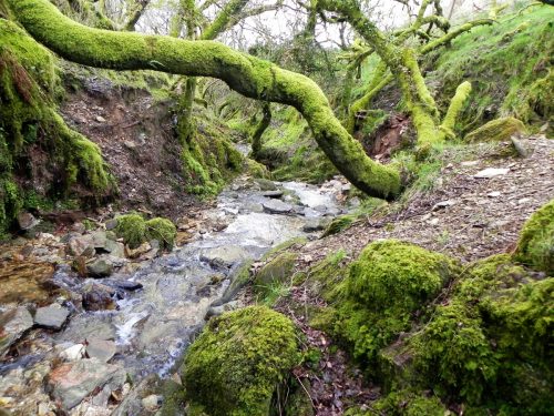 22.-Upstream-from-Higher-Holworthy-2