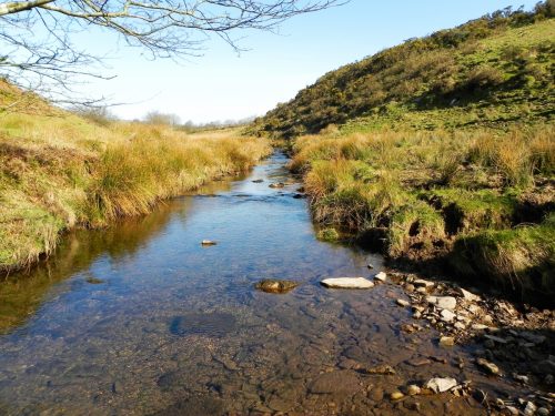 22.-Upstream-from-Lower-Willingford-Bridge-2