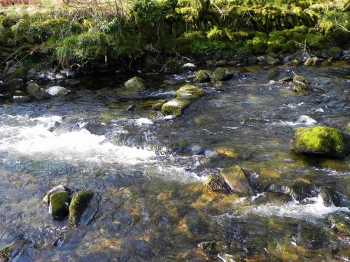 23.-Downstream-from-Cinder-Pool-2