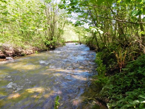 23.-Downstream-from-Druids-Combe-Road-Bridge-2