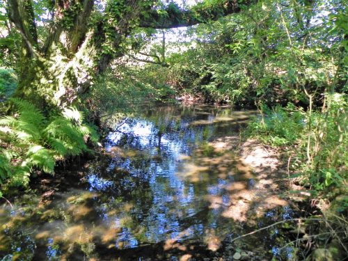 23.-Downstream-from-Gardeners-Bridge-2
