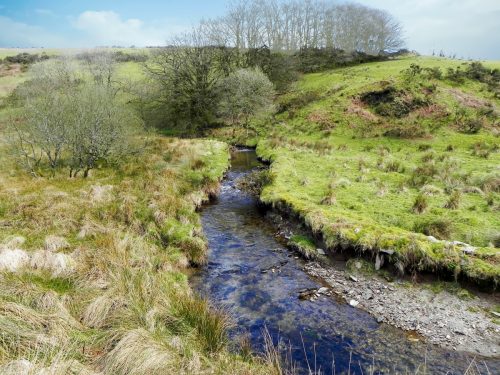 23.-Downstream-from-Long-Holcombe-Water-2