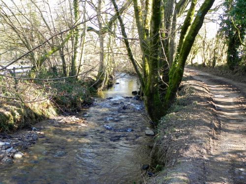 23.-Downstream-from-Luckwell-Bridge-2
