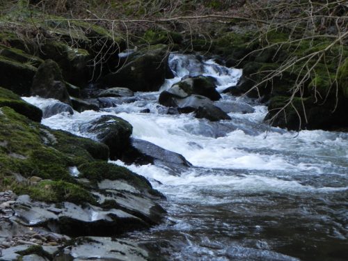 23.-Downstream-from-Rockford