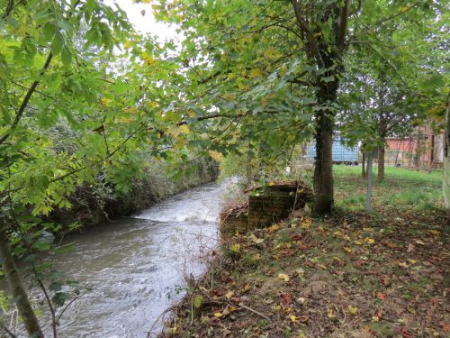 23.-Downstream-from-Tonedale-Weir