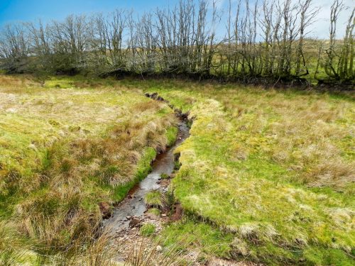 23.-Early-stream-approx-950-metres-from-source-2