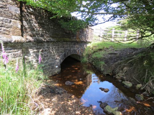 23.-Exe-Bridge-Downstream-Arch-2